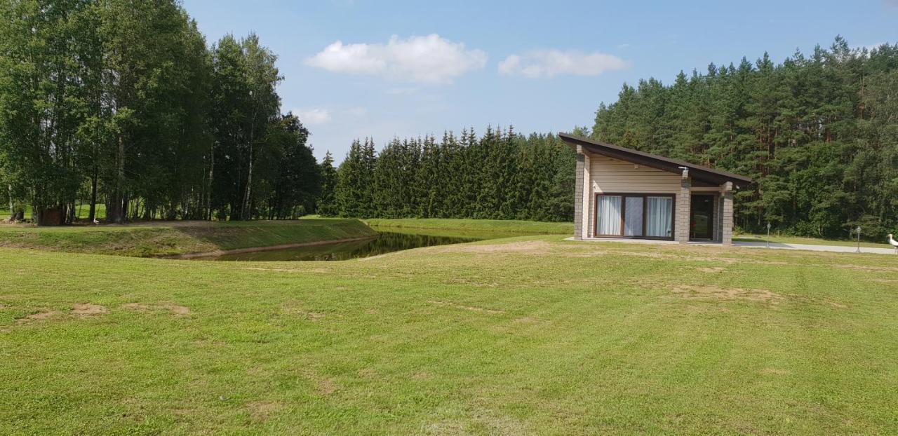 Lazariskio Apartamentai Martiniskenai 外观 照片